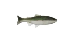 Anglers King Sugar Shaker Trout