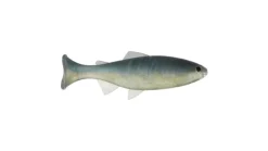 Anglers King Sugar Shaker Trout