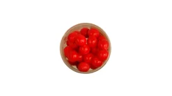 Berkley Powerbait Eggs Floating Magnum