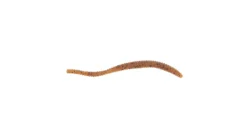 Berkley Power Floating Trout Worm