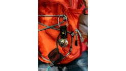 Coghlan Bear Bell 20pk