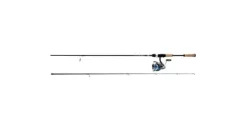 Daiwa Legalis LT Spinning Combo