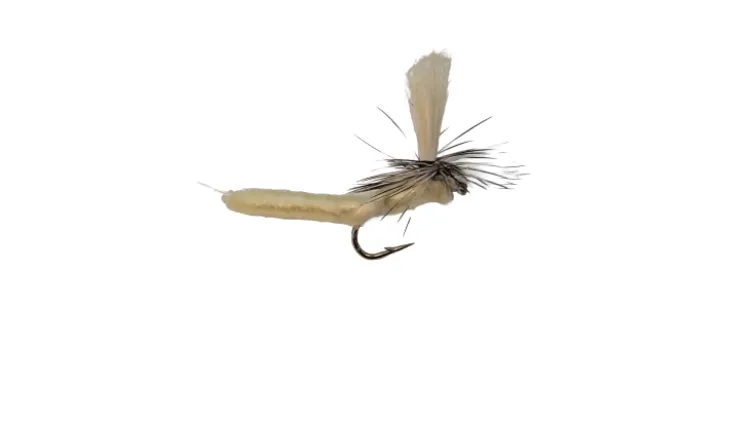 Dry Creek Fly Dry Fly