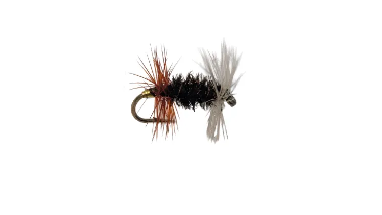 Dry Creek Fly Dry Fly