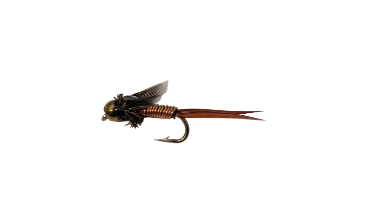 Dry Creek Fly Nymph