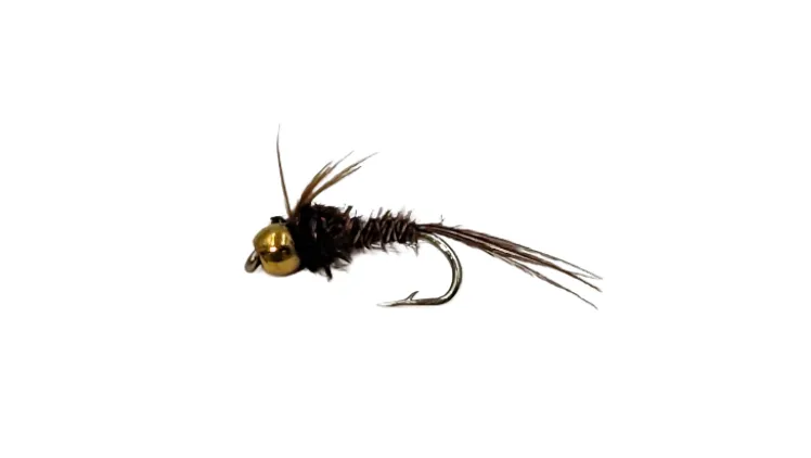 Dry Creek Fly Nymph