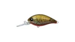 Evergreen CR-8 Crankbaits