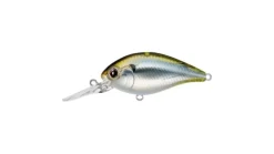 Evergreen CR-8 Crankbaits