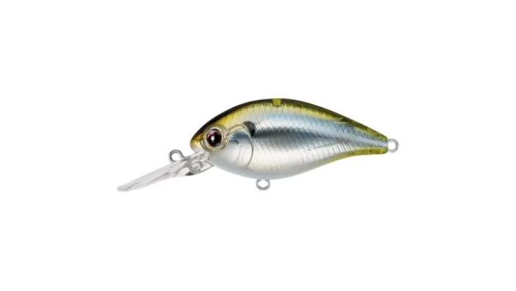 Evergreen CR-8 Crankbaits