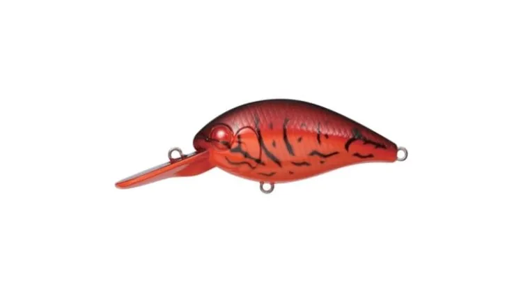 Evergreen CR-8 Crankbaits