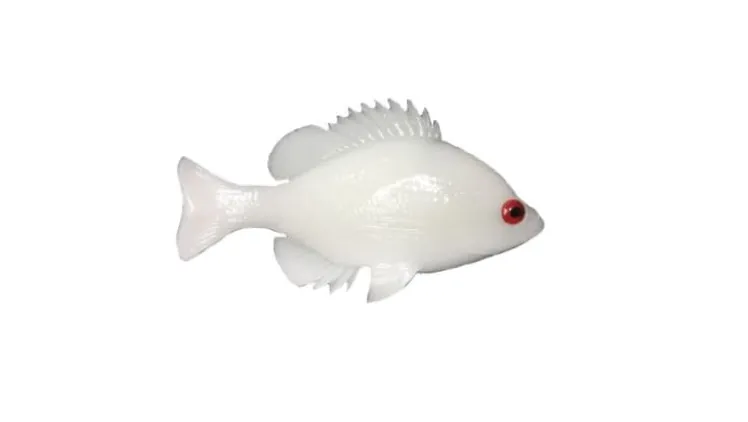 Huddleston Deluxe Bluegill