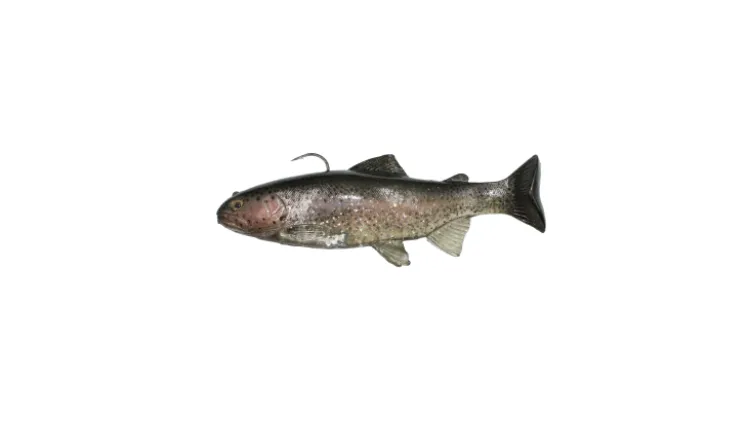 Huddleston Deluxe 8" Trout
