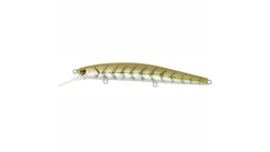 Ima Flit Jerkbait