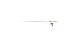 Master Roddy Lites Spinning Combo