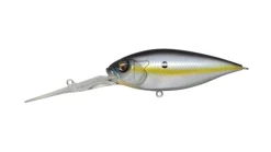 Megabass Deep Six Crankbait