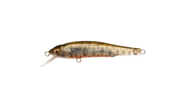 Megabass X-70 (BFS)