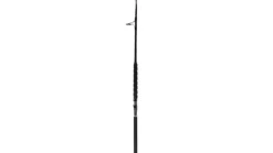 Phenix Axis Spinning Rods