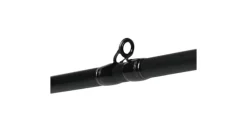 Phenix Classic BFS Casting Rods