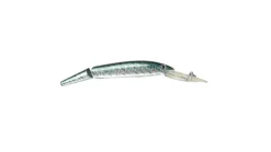 P-Line Predator Deep Diving