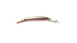 P-Line Predator Deep Diving