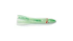 P-Line Sunrise Squid