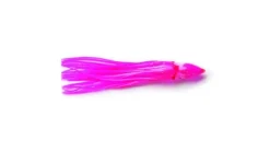 P-Line Sunrise Squid
