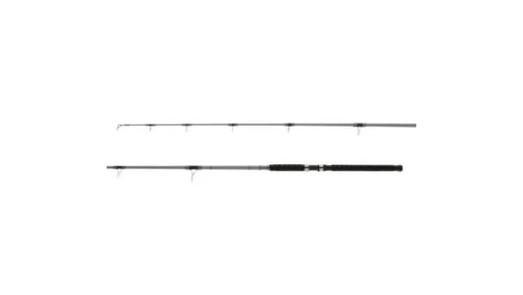 Shimano Saguaro B Spinning Rods