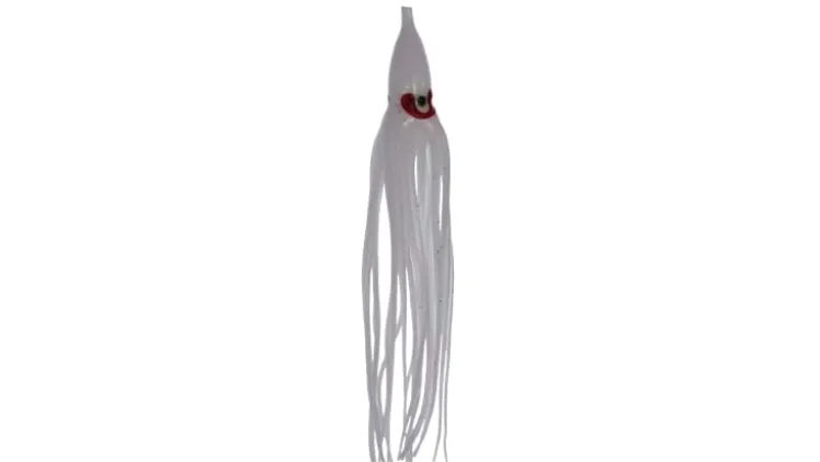 Silver Horde Octopus Squid