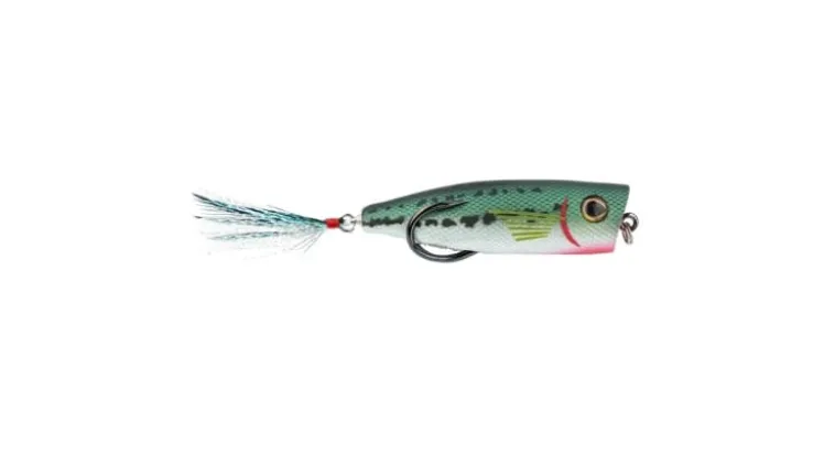 Snag Proof Zoo Pop