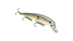 Strike King KVD Jerkbait