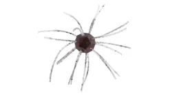 Strike King Tumbleweed Floating