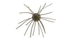 Strike King Tumbleweed Floating