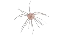 Strike King Tumbleweed Salted