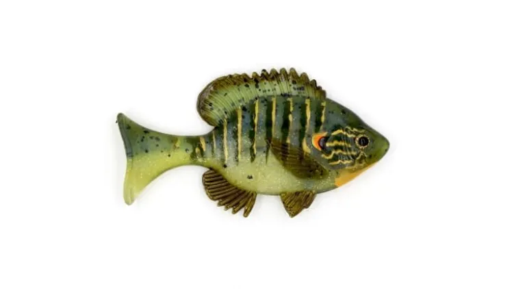 Sudden Impact Suzygill Bluegill Lil Gill
