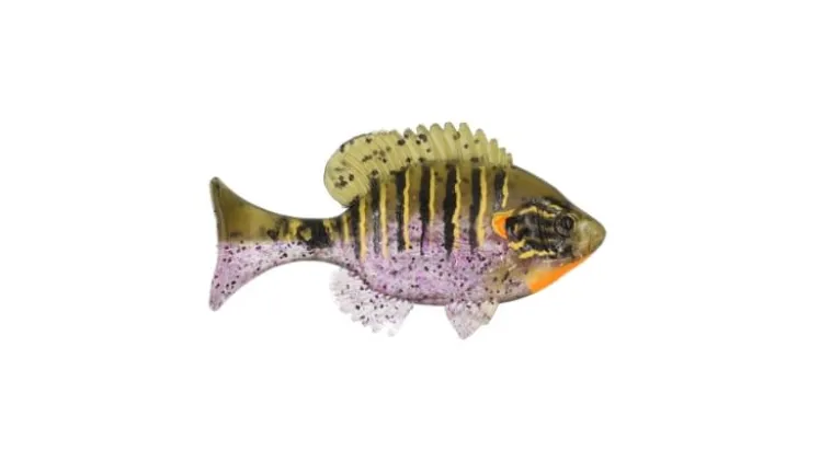 Sudden Impact Suzygill Bluegill Lil Gill