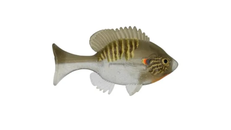 Sudden Impact Suzygill Bluegill Lil Gill