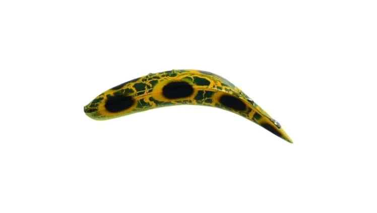 Worden's Flatfish F6